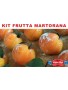 Kit Frutta Martorana
